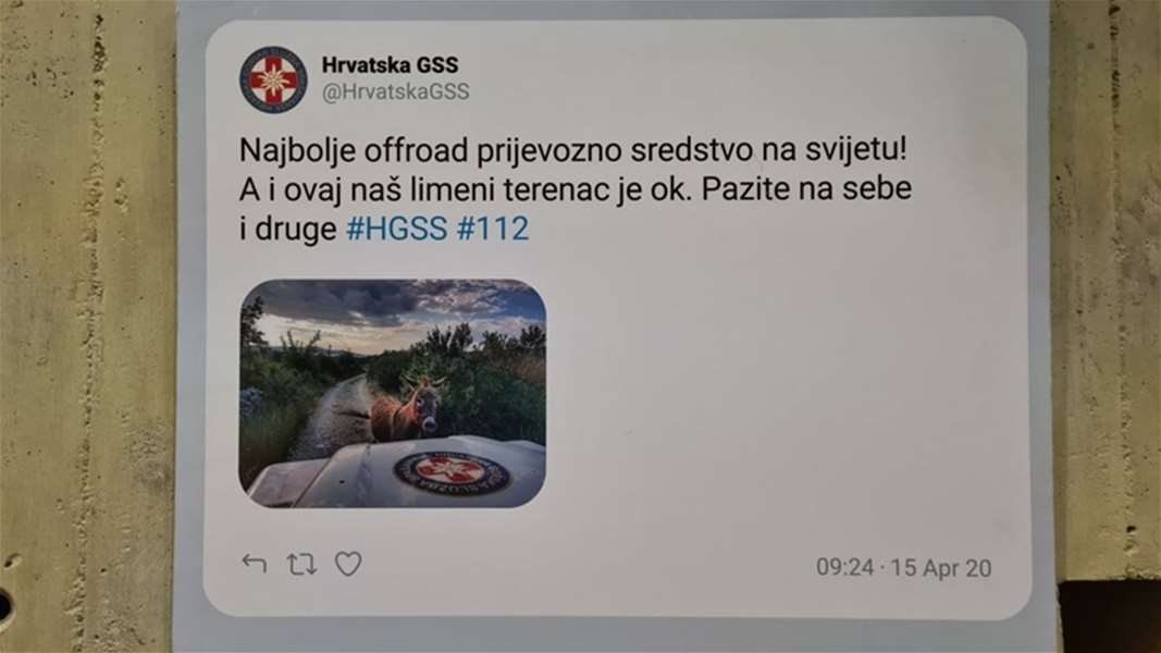 ResizeImage (21).jpg