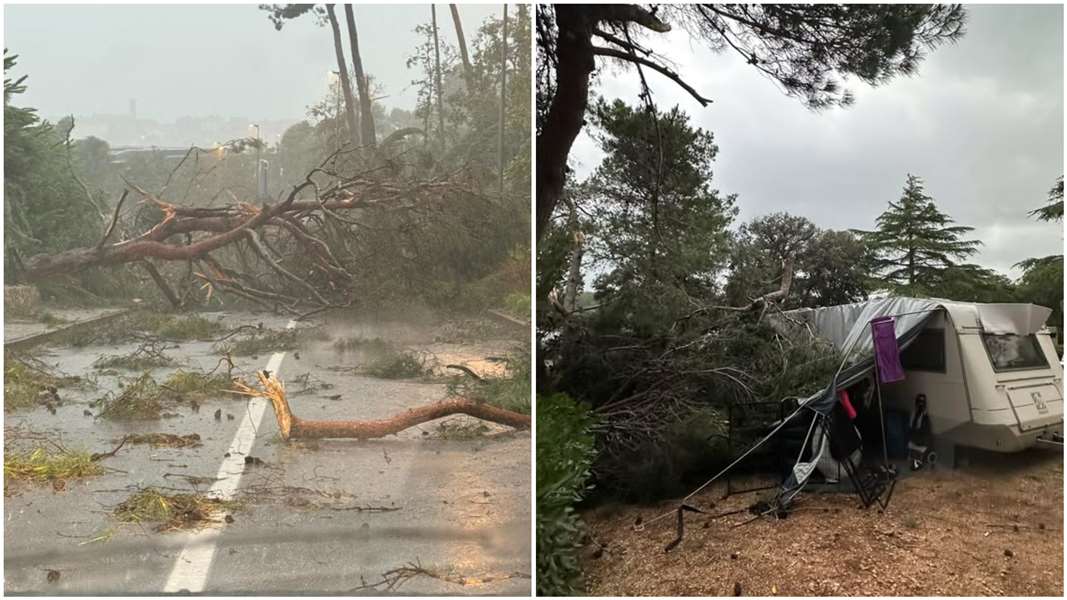 FotoJet - 2025-06-16T202509.591.jpg