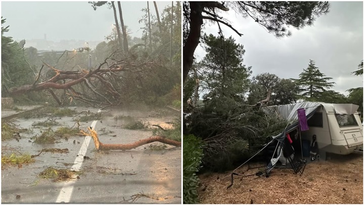 FotoJet - 2025-06-16T202509.591.jpg