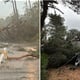 Nezapamćeno nevrijeme: Rušila se stabla, oštećeni auti, ima i ozlijeđenih