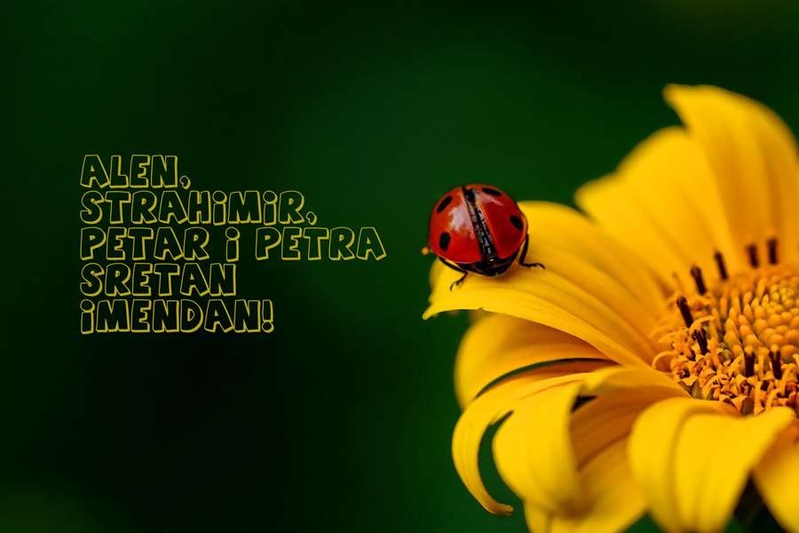 -Alen, Strahimir, Petar i Petra