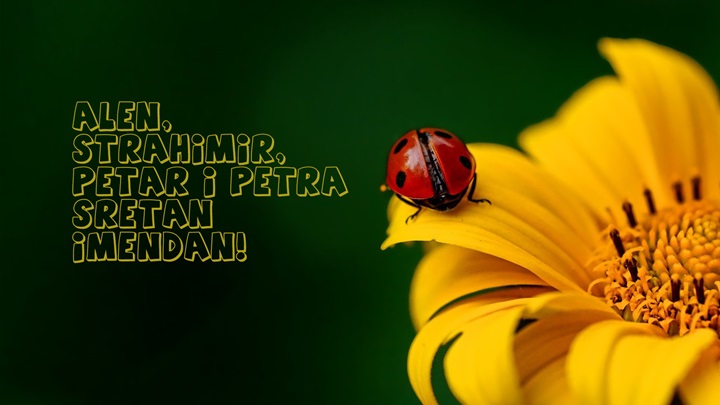 -Alen, Strahimir, Petar i Petra