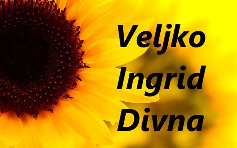 imendan veljko.JPG