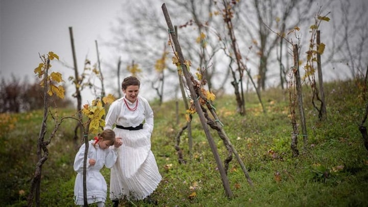 Geofolkl- KUD Pregrada.jpg