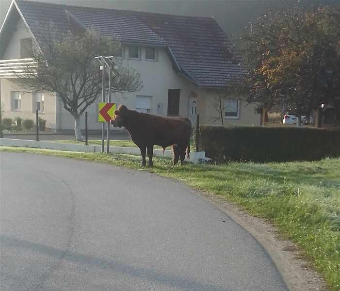Policija zaustavlja KZ.jpg