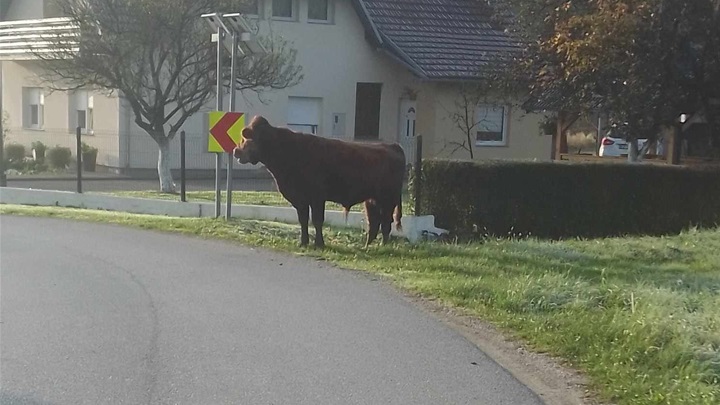Policija zaustavlja KZ.jpg