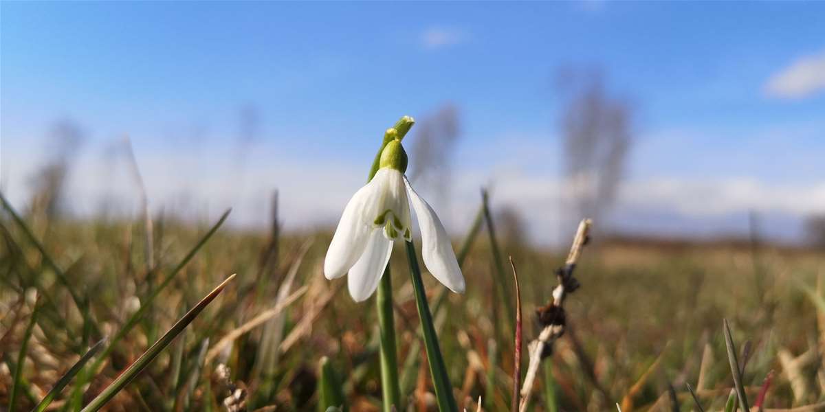 prognoza proljeće.jpg