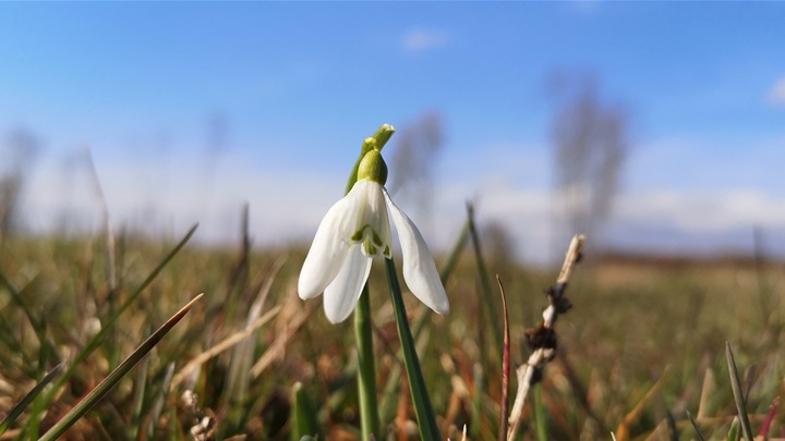 prognoza proljeće.jpg