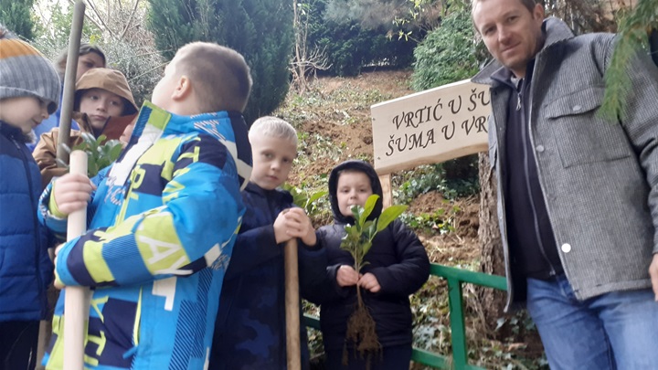 zasadi drvo ne budi panj krapina (2).jpg