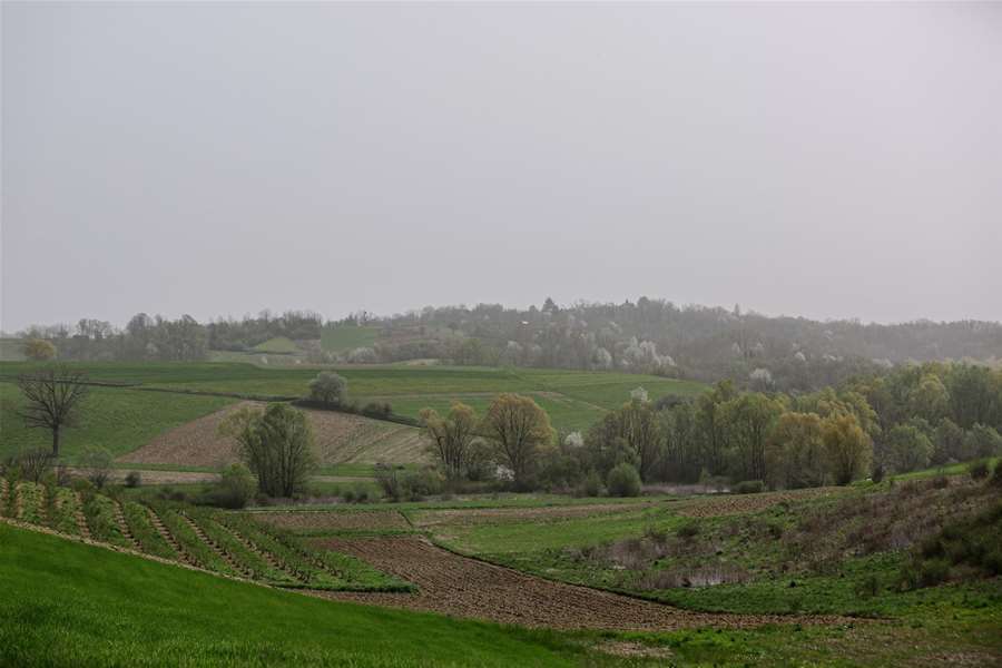 PXL_010424_112451636.jpg