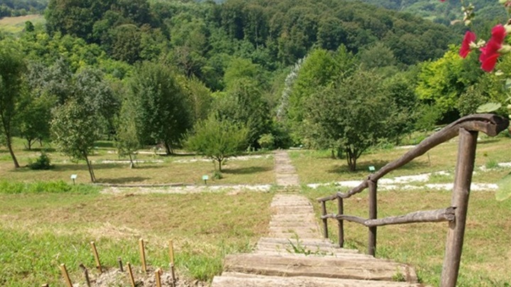 picelj botanički vrt.jpg