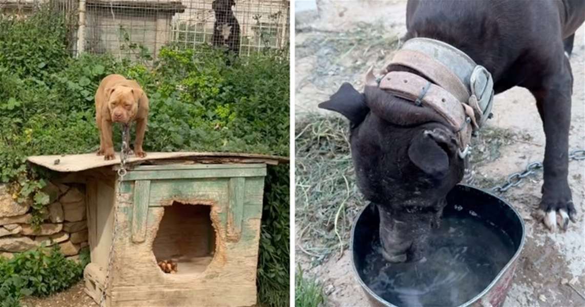 Screenshot Zaklada Bestie.jpg