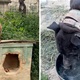 VIDEO Psihijatar držao 67 pasa i dva vuka, objavljena snimka. "Ovo je logor"
