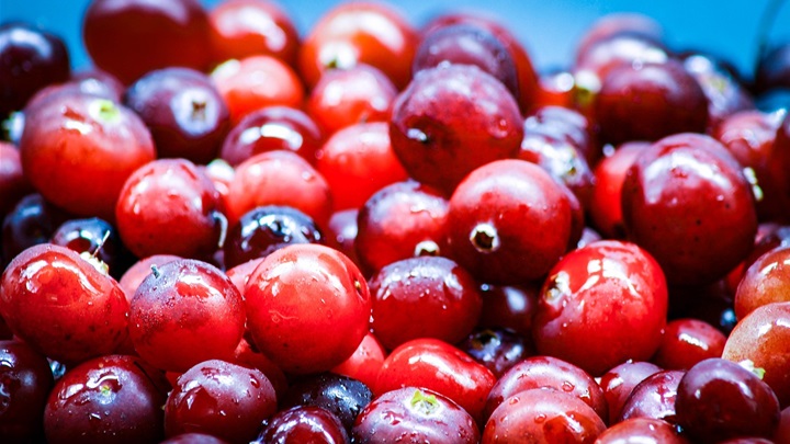 food-4521744_1280 (1).jpg
