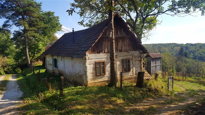 hrašćina u oku.jpg