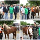 Miss i mister županijske izložbe su krava Boca i konj Fadil
