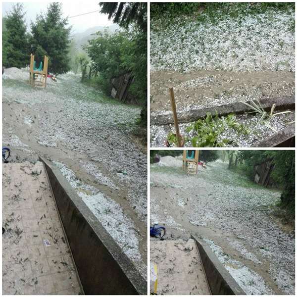 Čitateljica Jelena iz Pregrade poslala nam je prizore iz svog dvorišta gdje je tuča sve zabijelila-