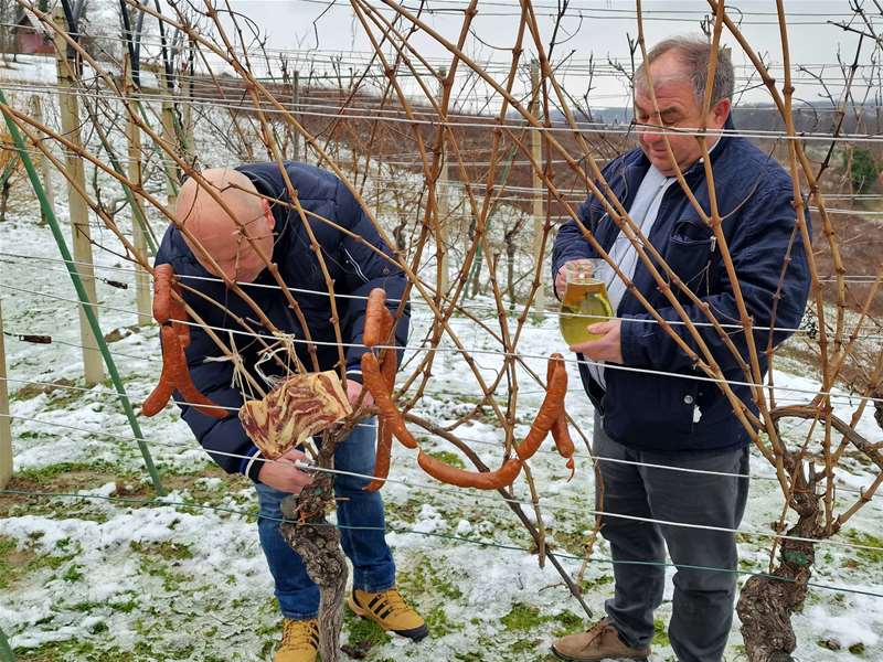 Zabočki vinogradari obilježili sutrašnji blagdan sv. Vinka3.jpg
