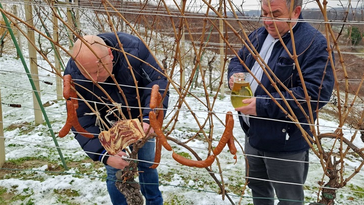 Zabočki vinogradari obilježili sutrašnji blagdan sv. Vinka3.jpg