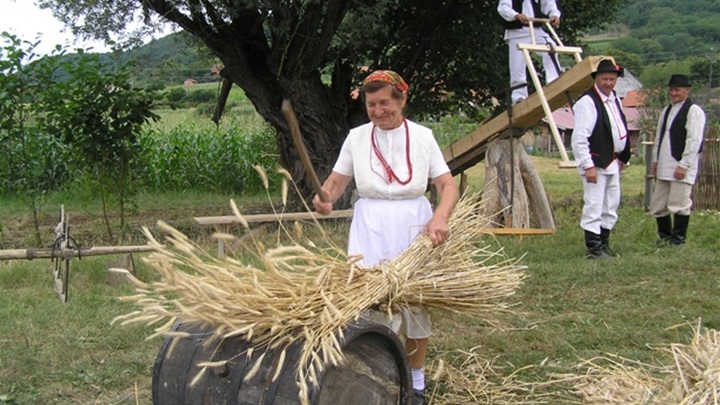 gotali_čišćenje konoplje i piljenje trupaca na pili hrušterici.JPG