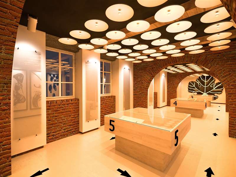 kuća vinove loze (5).jpg