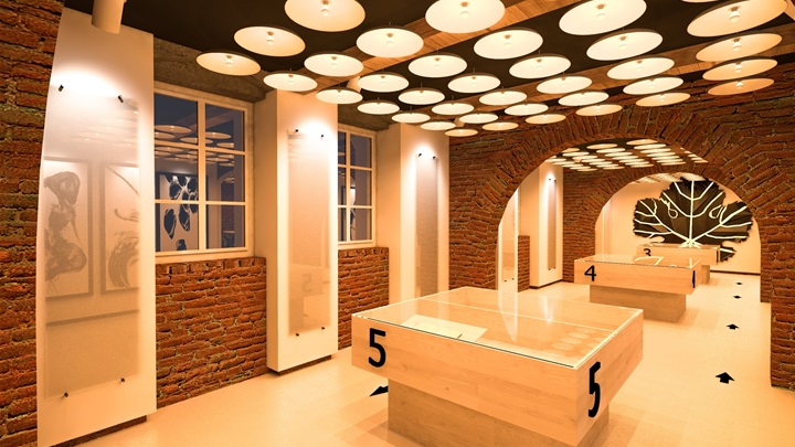 kuća vinove loze (5).jpg