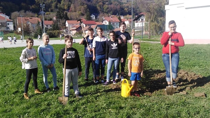 pr zasadi drvo.jpg