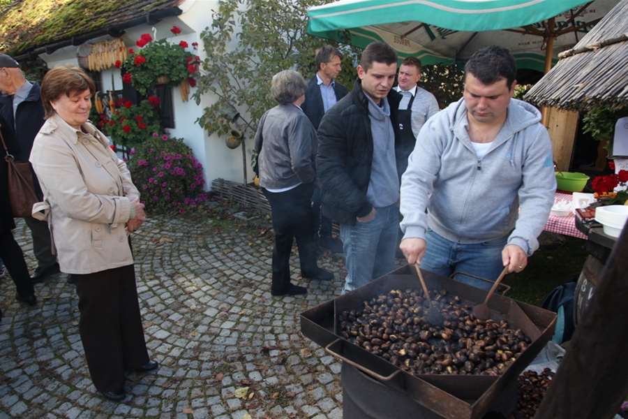 kestenijada gornja stubica (4).JPG