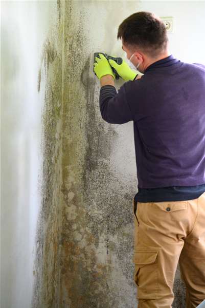 vecteezy_the-man-uses-a-spatula-to-remove-mold-and-fungus-on-the-wall_14272442.jpg