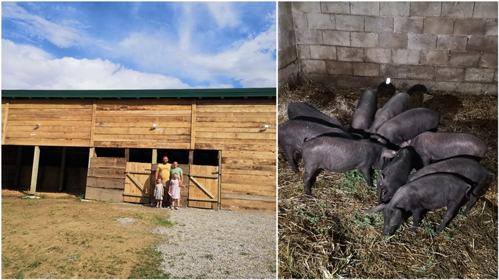 FotoJet - 2024-07-06T212226.060.jpg