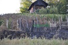 zagorje_izgorjeli_pozar_vinogradi_bedekovcina_22082012_05.jpg