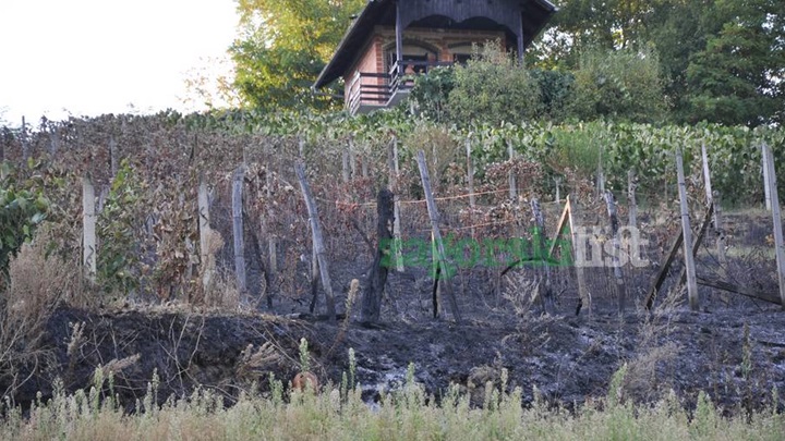 zagorje_izgorjeli_pozar_vinogradi_bedekovcina_22082012_05.jpg