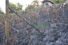 zagorje_izgorjeli_pozar_vinogradi_bedekovcina_22082012_02.jpg