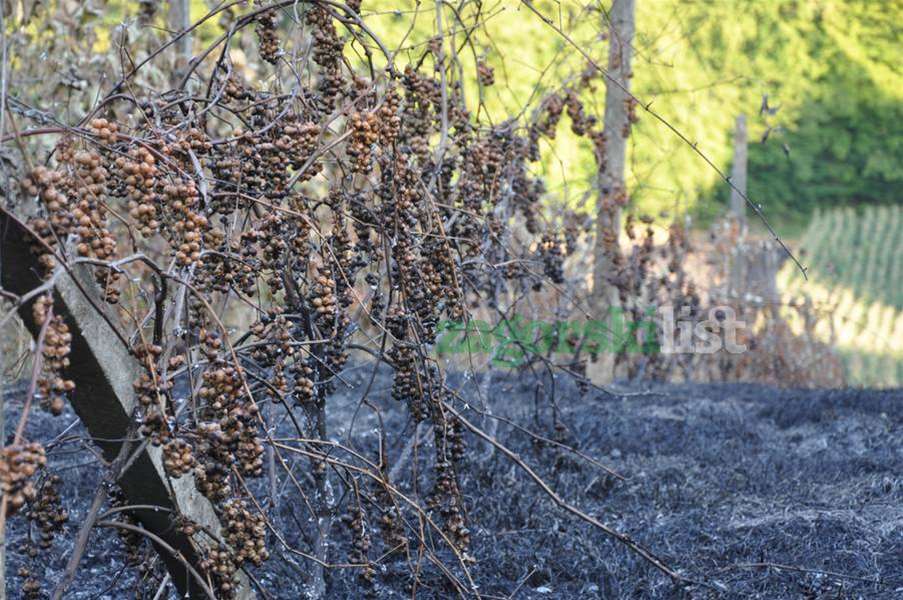zagorje_izgorjeli_pozar_vinogradi_bedekovcina_22082012_03.jpg