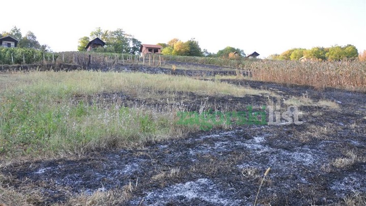 zagorje_izgorjeli_pozar_vinogradi_bedekovcina_22082012_04.jpg