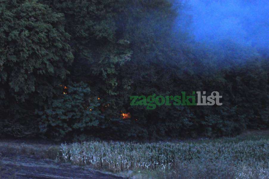 zagorje_ponovno_pozar_bedekovcina_šuma_23082012_01.jpg