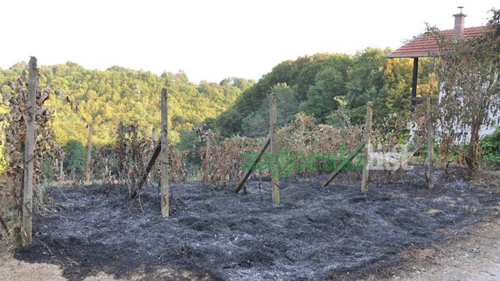 zagorje_izgorjeli_pozar_vinogradi_bedekovcina_22082012_01.jpg