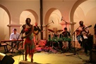 zagorje_koncert_dvorac_orsic_zakiya_hooker_blues_01072012_02.jpg