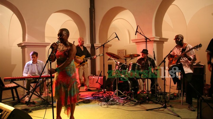 zagorje_koncert_dvorac_orsic_zakiya_hooker_blues_01072012_02.jpg