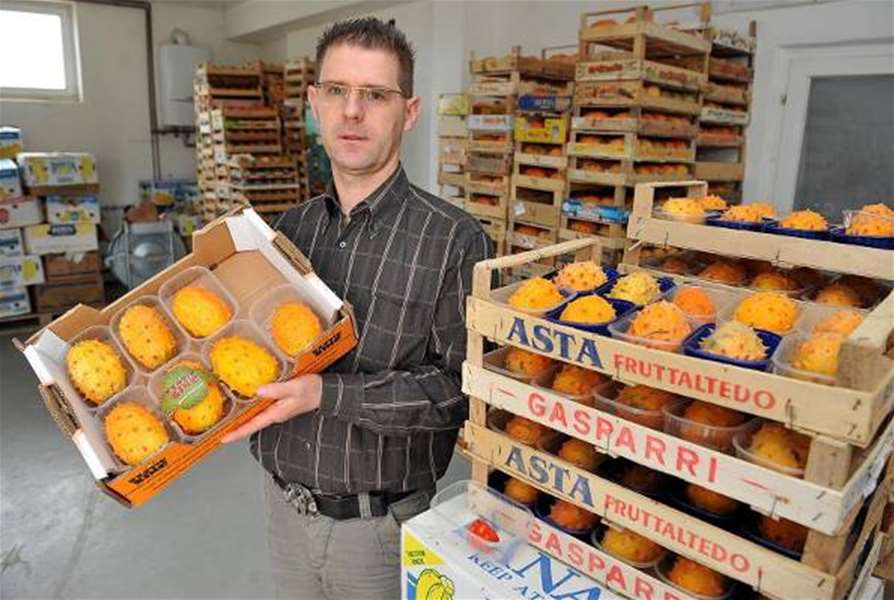 Ivan Sulog egzoticno voce