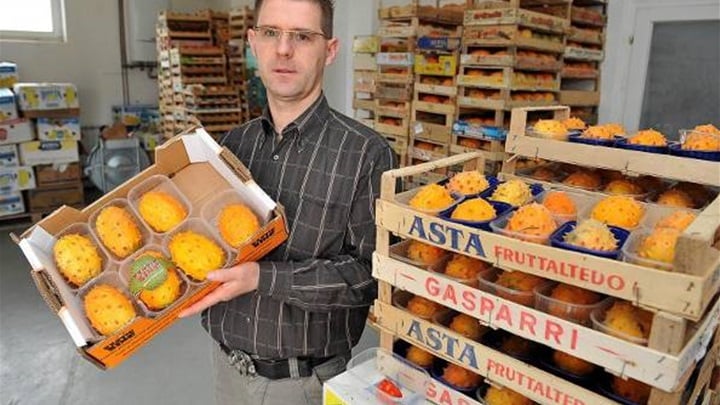 Ivan Sulog egzoticno voce