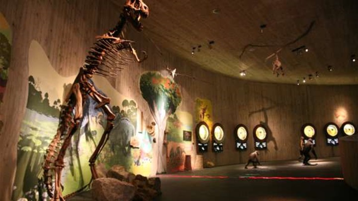 Muzej krapinskog pracovjeka1.jpg