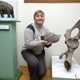 Muzej evolucije dobio novi mamutov zub