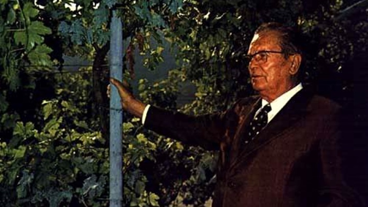 tito_vinograd.jpg