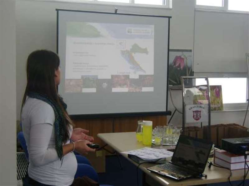 Predstavljanje prebrojavanja kockavice.jpg