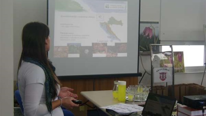 Predstavljanje prebrojavanja kockavice.jpg