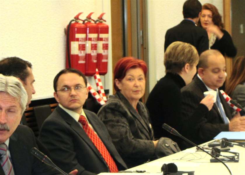 ALPE ADRIA Plenar meeting Zagreb.JPG