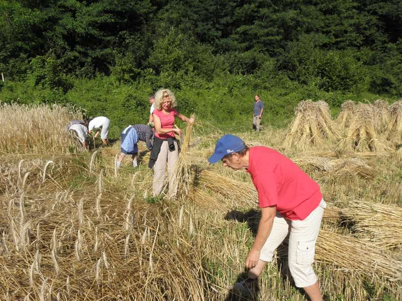 Pristava kod Tuhlja2.JPG