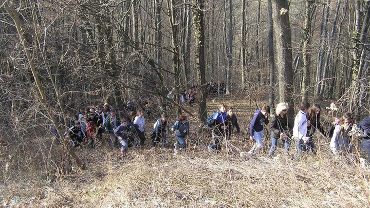 Copy of P1010061.JPG