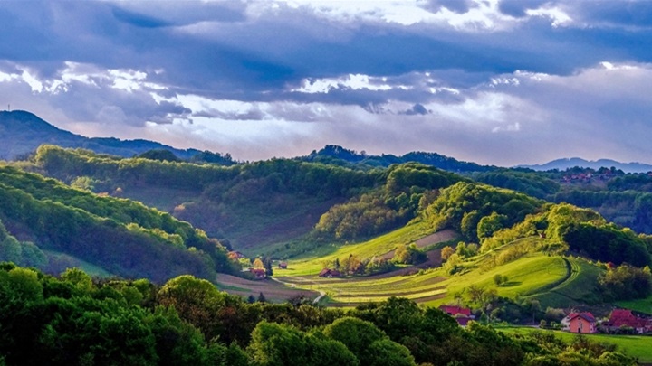 2 Branka Mašić DRUGO MJESTO ŽIRI.jpg
